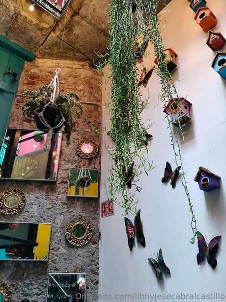 Libnyjesecabralcastillo かわいいスター 写真