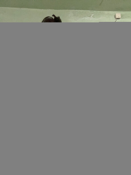 Libnyjesecabralcastillo トップスター 画像