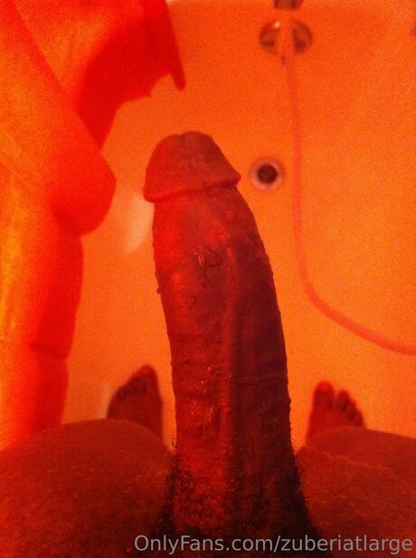 Zuberixxx ポルノスター アーカイブ