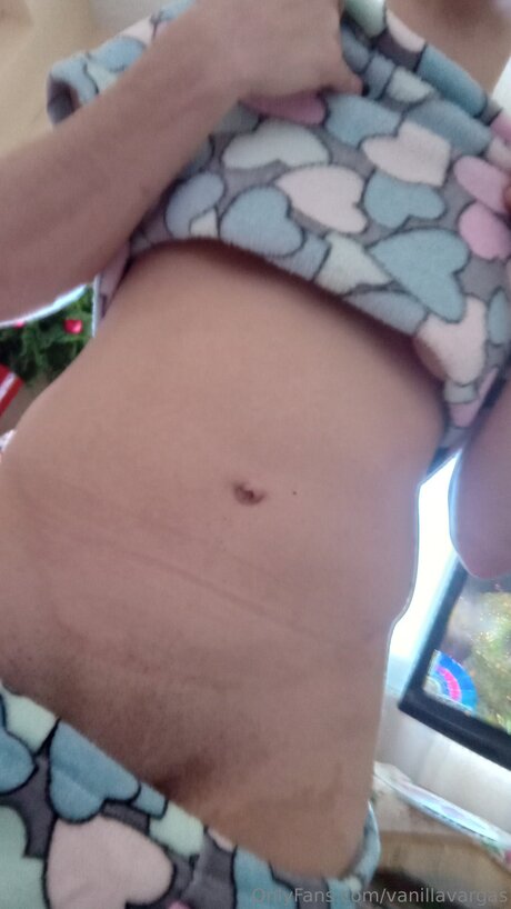 Vanillavargas 素敵な女優 画像