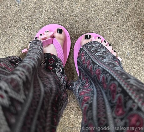 Goddessalexarayne エロティックなスター 画像