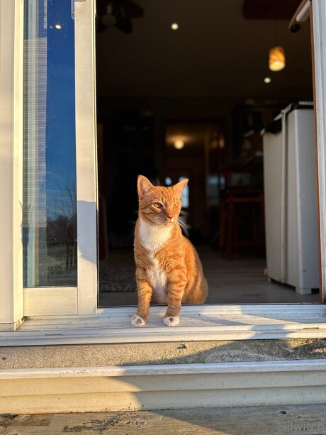 ジンジャーティーンオンリーファンズ ヌード 画像