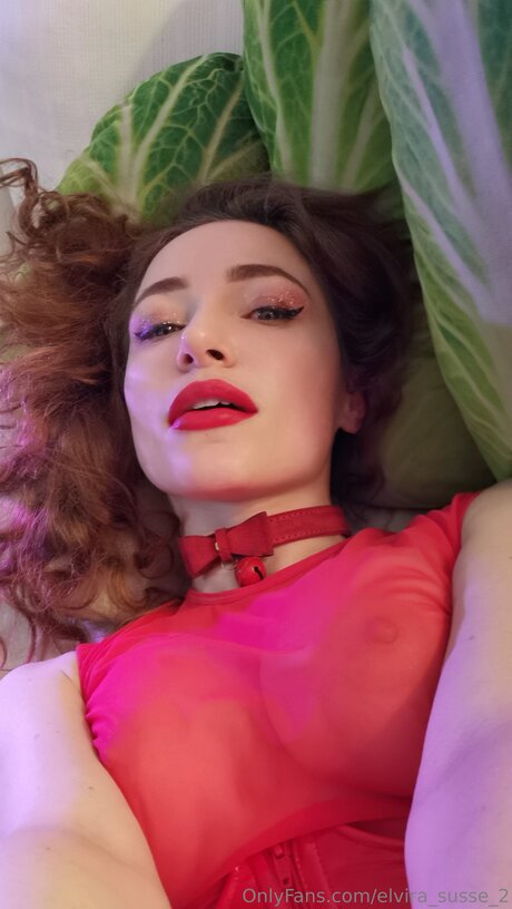 Elvira Susse 2 アダルトモデル 写真