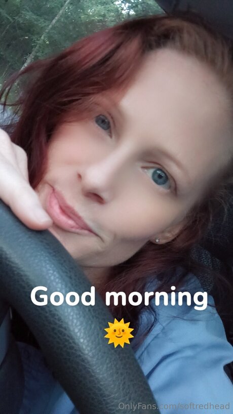 Softredhead ヌードのポルノスター 画像
