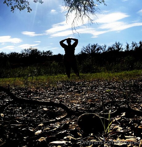 Improbus888free ポルノスター ベスト 画像