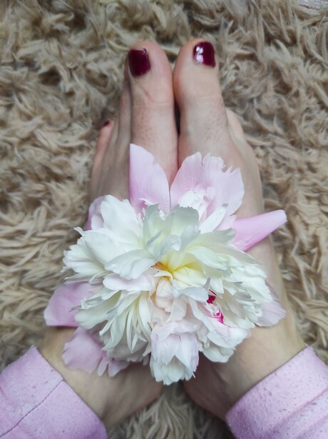 尖ったおっぱいオンリーファンズ セックス アーカイブ