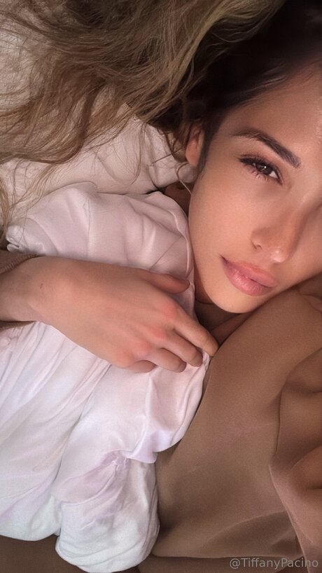 Discotacos ポルノ女優 写真