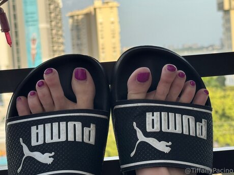 Discotacos ヌードスター ギャラリー