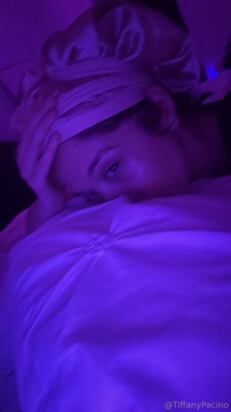 Discotacos エロティックなポルノスター 写真