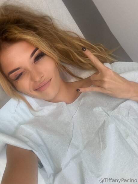 Discotacos 美しいポルノスター 画像