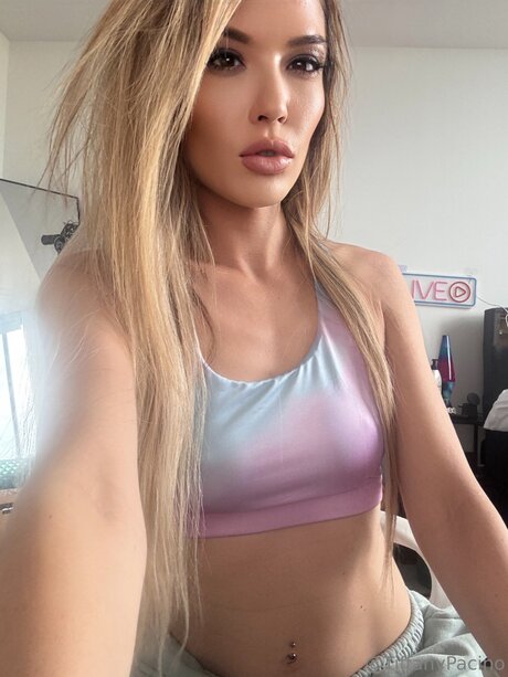 Discotacos ポルノスター アート 画像