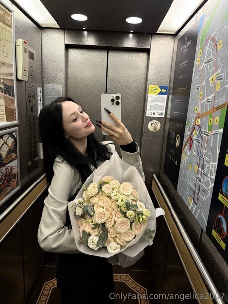 Angelikalust HDモデル 写真