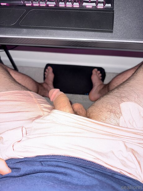 Emsealion アートモデル 画像