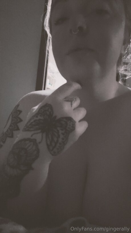 Gingerally 美しいスター 画像