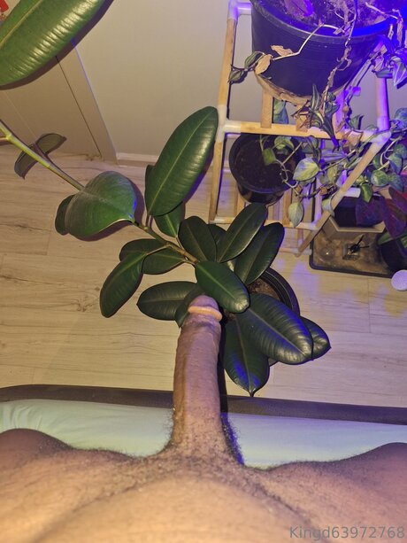 U370740840 ポルノスター ヌード 写真