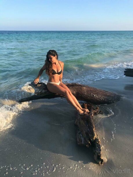 Vio Fit エロティックなスター 画像