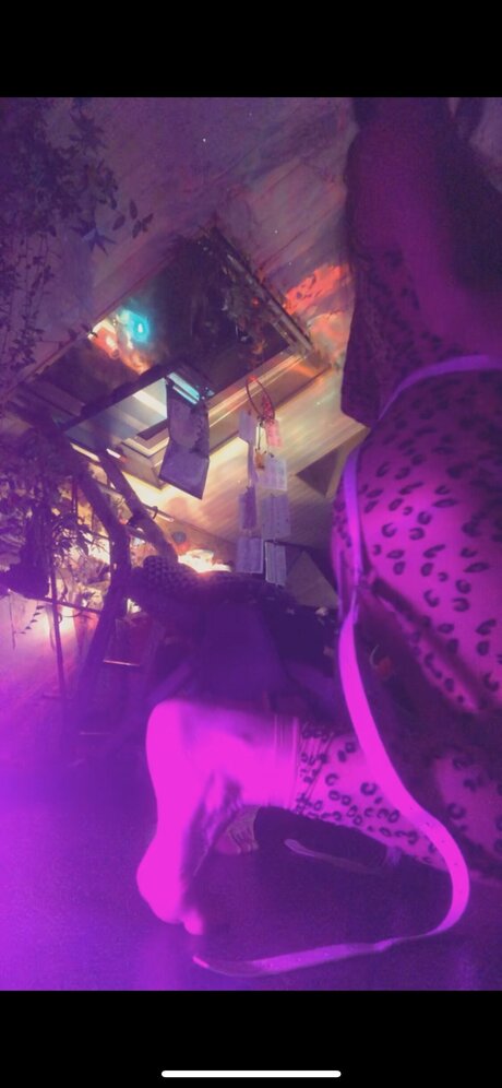 妻のアナルオンリーファンズ ベスト 画像