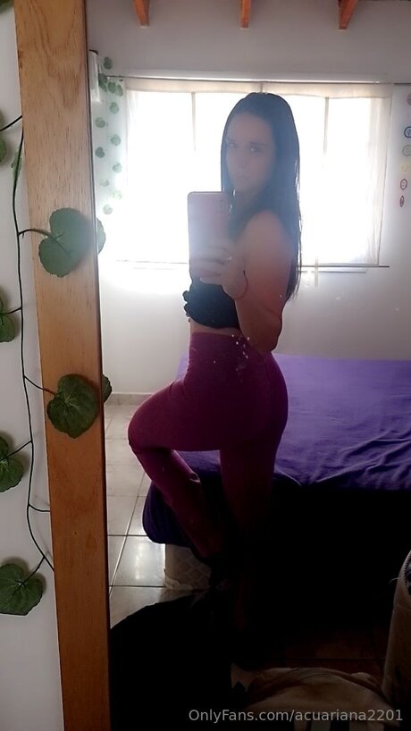 Acuariana2201 HDスター アーカイブ