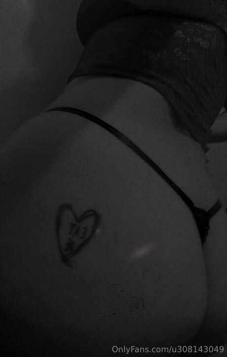 U308143049 アートスター 写真