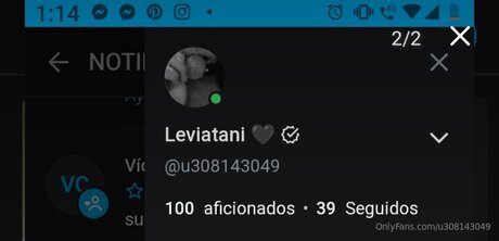 U308143049 無料モデル 写真