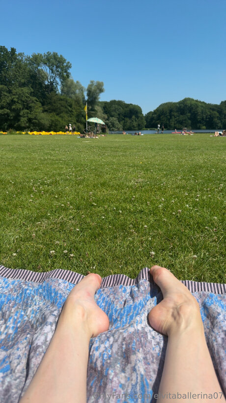 Elvitaballerina07 スター 画像