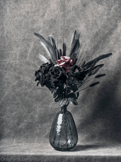 Rholdphoto 素敵なモデル 写真