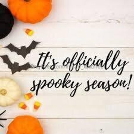 Mrs M Xoxofree ホットスター 写真