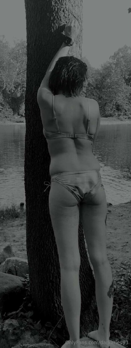 Darkaries93 HD女優 画像