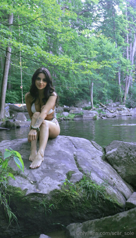 Scar Sole 限定スター 写真