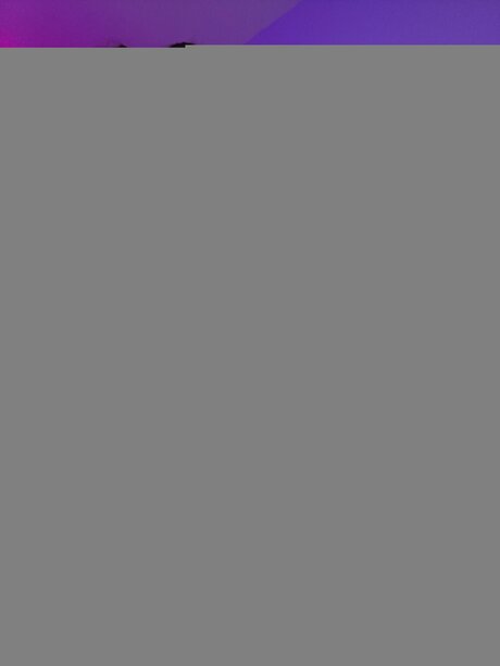 キティ・ウェット・オンリーファンズ アダルト 画像