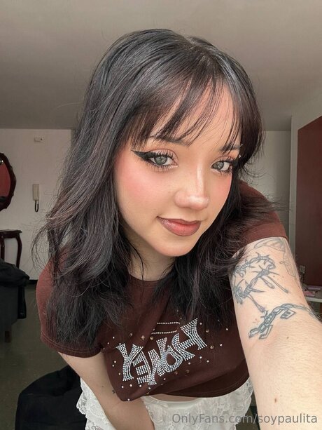 Soypaulita アートスター 写真