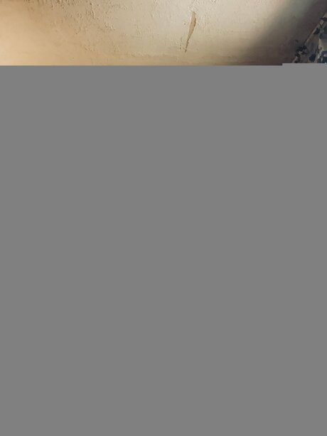 Sexyfoxy Ana 最高のポルノスター 写真