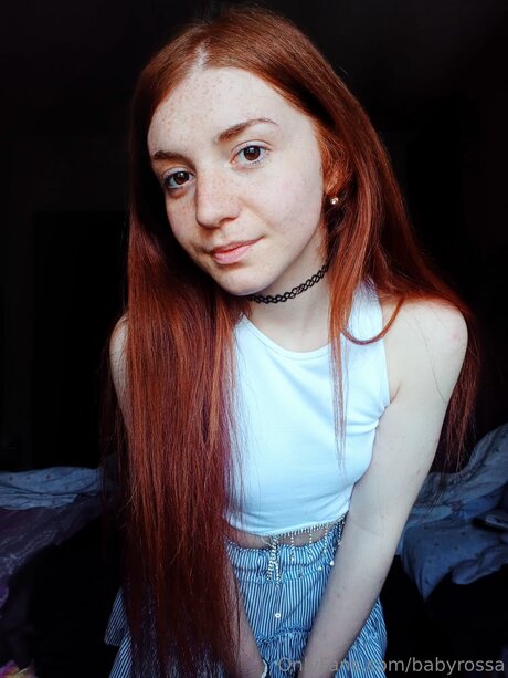 Babyrossa かわいいスター ギャラリー