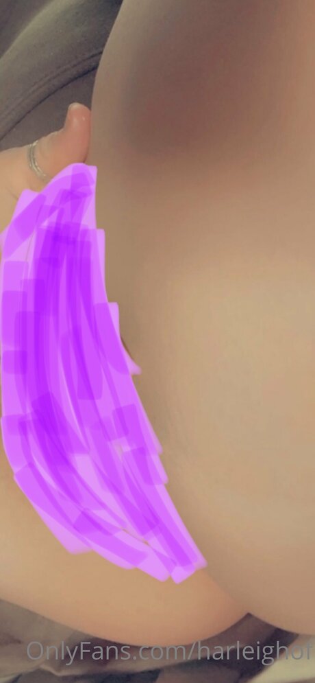 Harleighof モデル ギャラリー