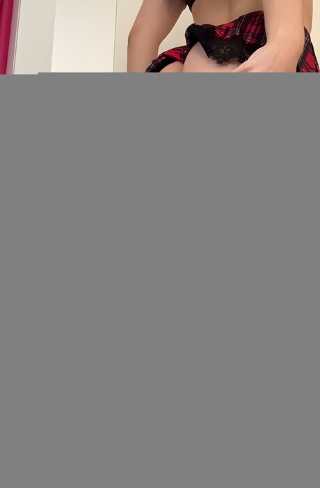 Paw Kitty 完璧なスター アーカイブ