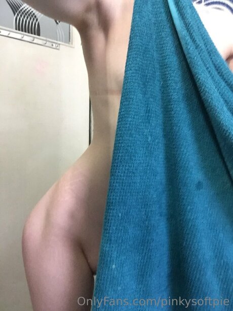 Pinkysoftpie 裸モデル 写真