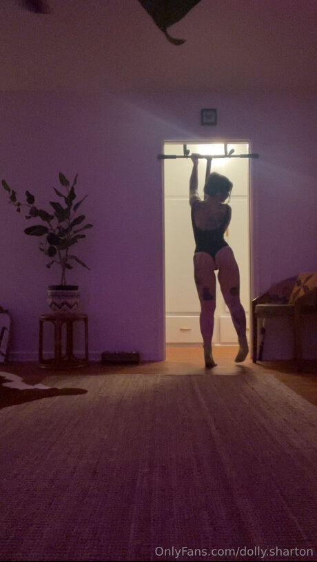 Dolly Sharton 高品質モデル 画像