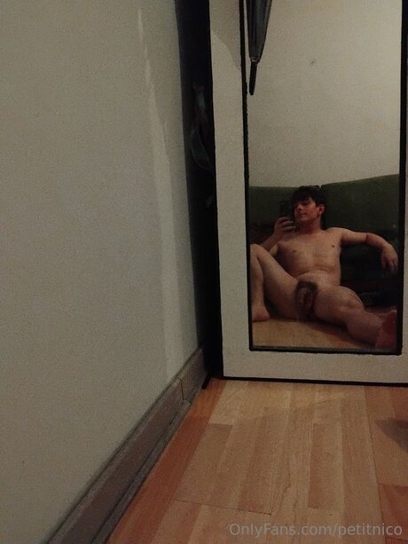 Petitnico HDモデル 写真