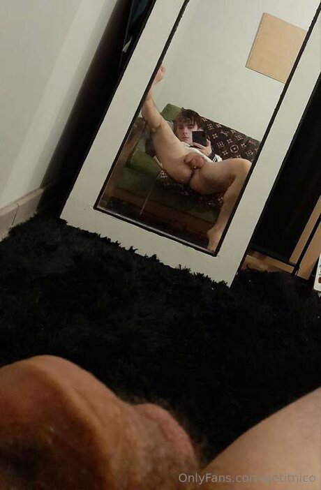 Petitnico HDモデル 画像