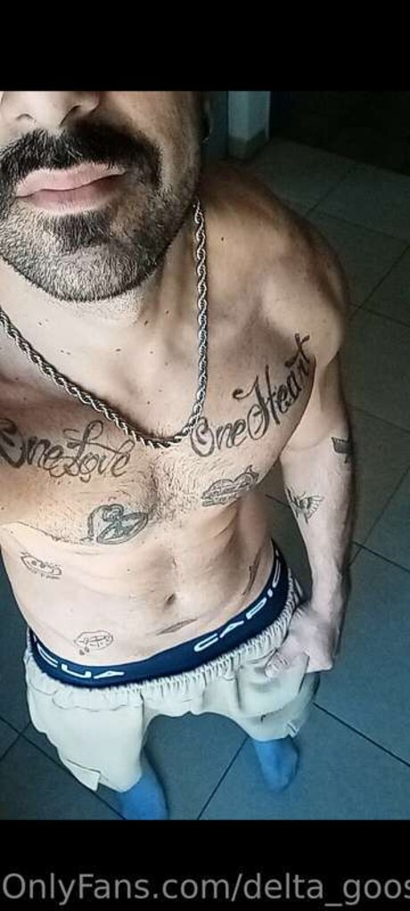 Delta Goose 美しいポルノスター 写真