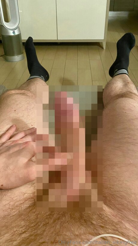 Italian Vikingfree トップモデル 写真