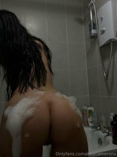 U179457005 HDモデル 画像