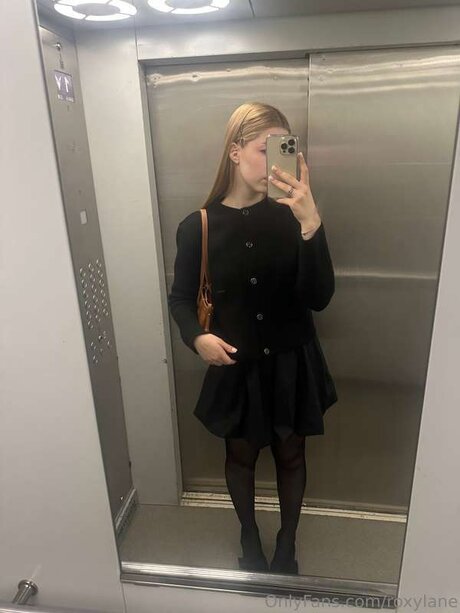 Roxylane アートスター 画像