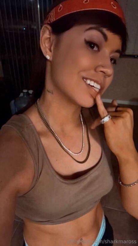 Sharkmaross HDモデル 写真