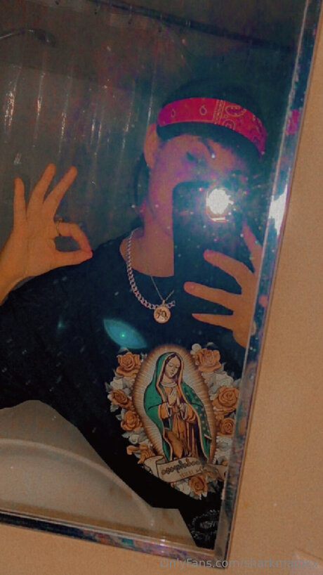 Sharkmaross 最高のスター ギャラリー