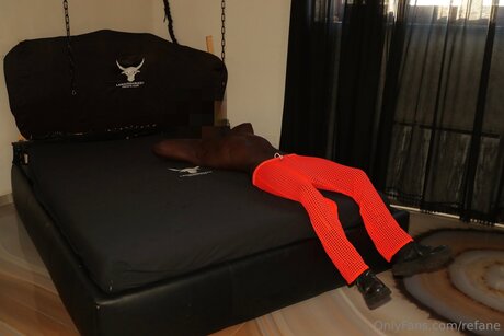 Refane 美しいスター ギャラリー