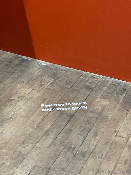 Tristamariemcg エロティックなスター 写真