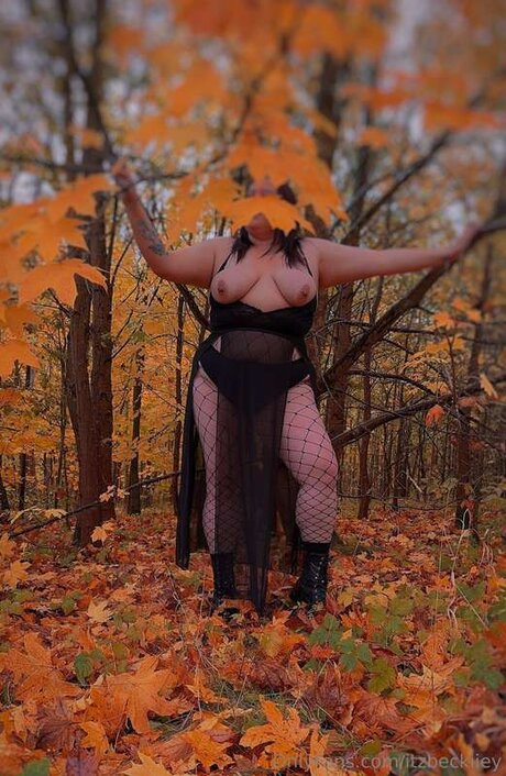 Itzbeckiiey 完璧なスター 写真