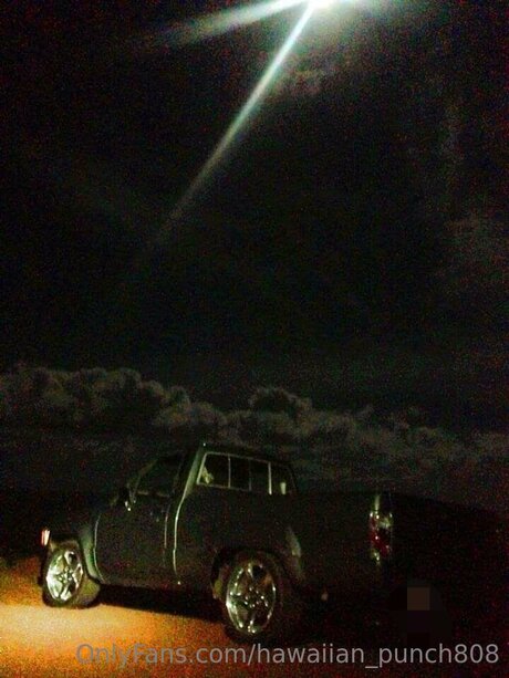 Hawaiian Punch808 xxxポルノスター 写真