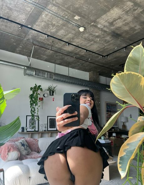 trangolina 高品質モデル 写真